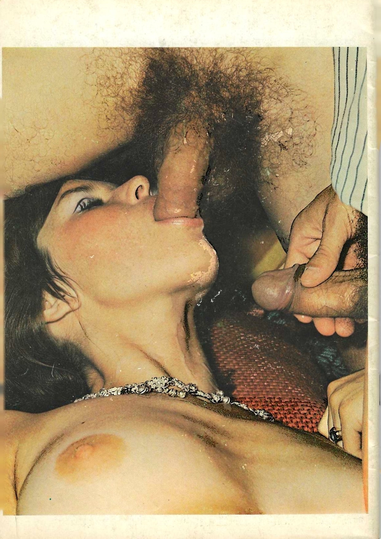 Color Climax 19 (3 of 3)