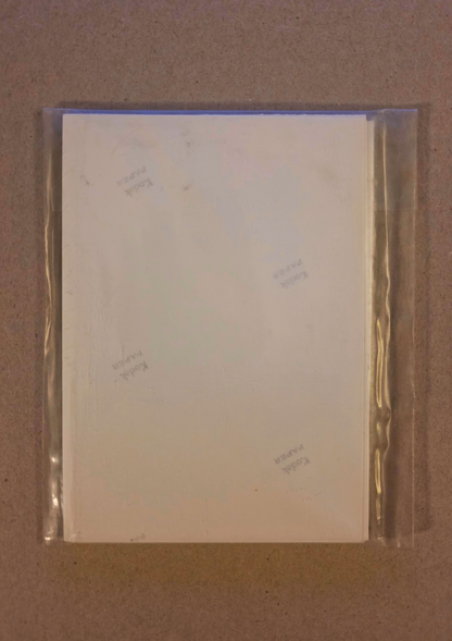 PS_06: Untitled Erotic Photo Set (12 photographs)