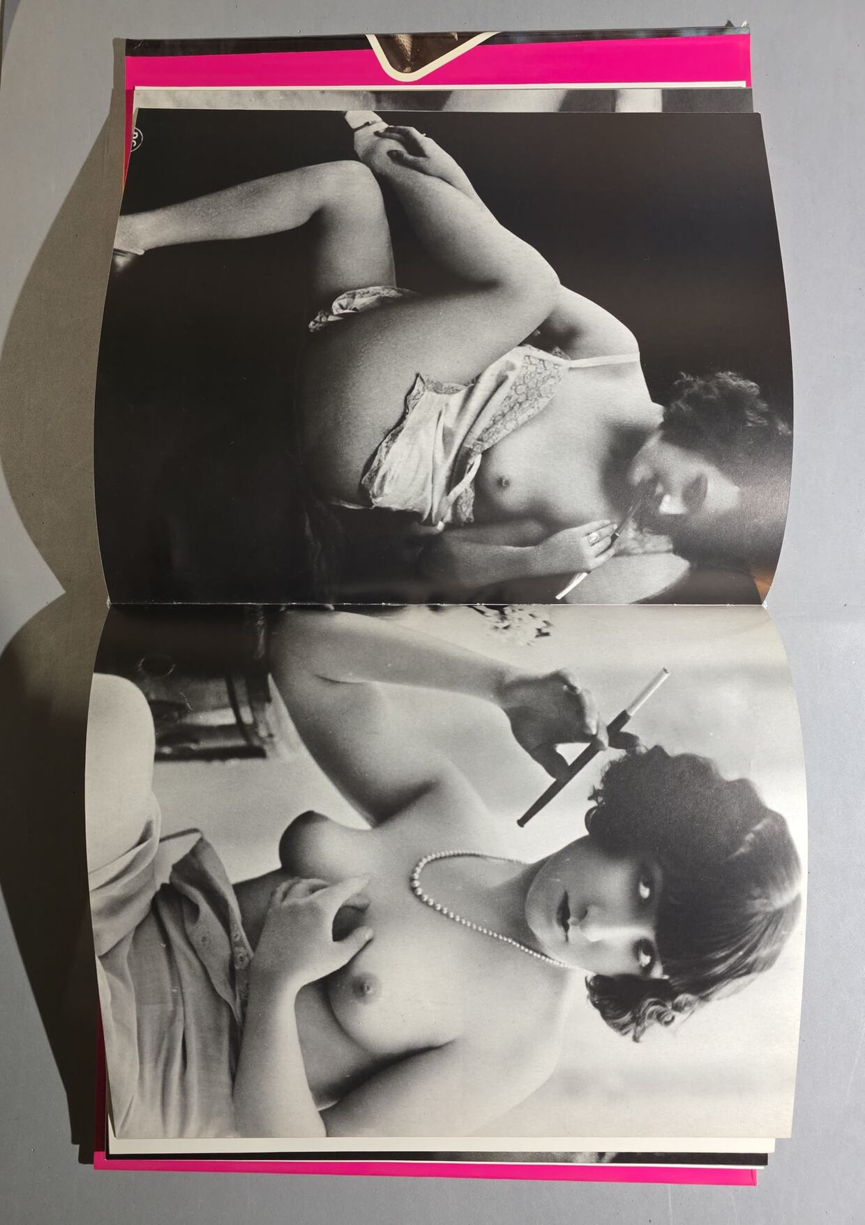 Poul Gerhard – Pornography or Art?