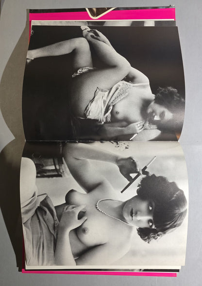 Poul Gerhard – Pornography or Art?