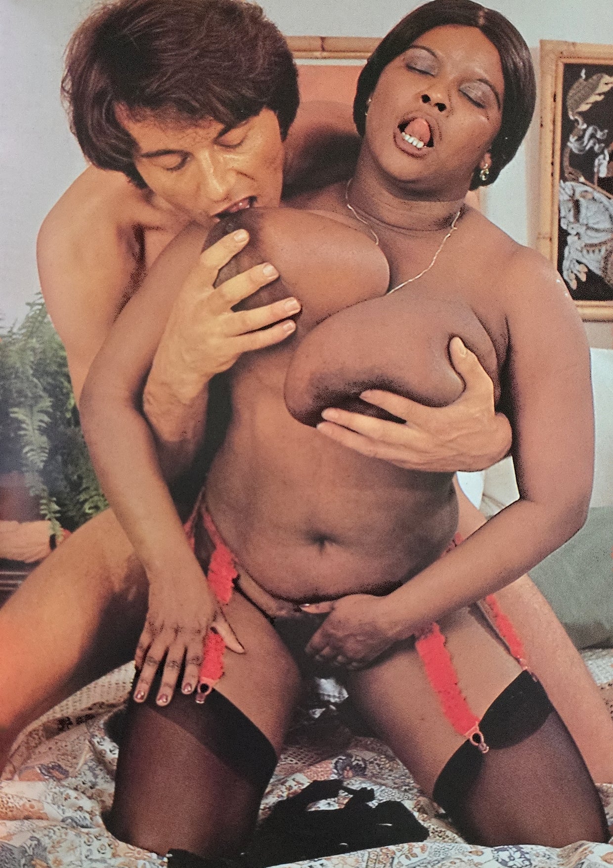 Color Climax 109