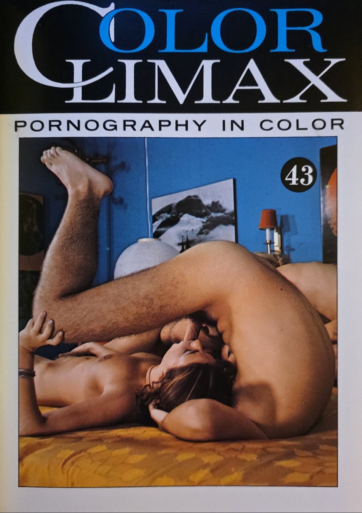 Color Climax 43