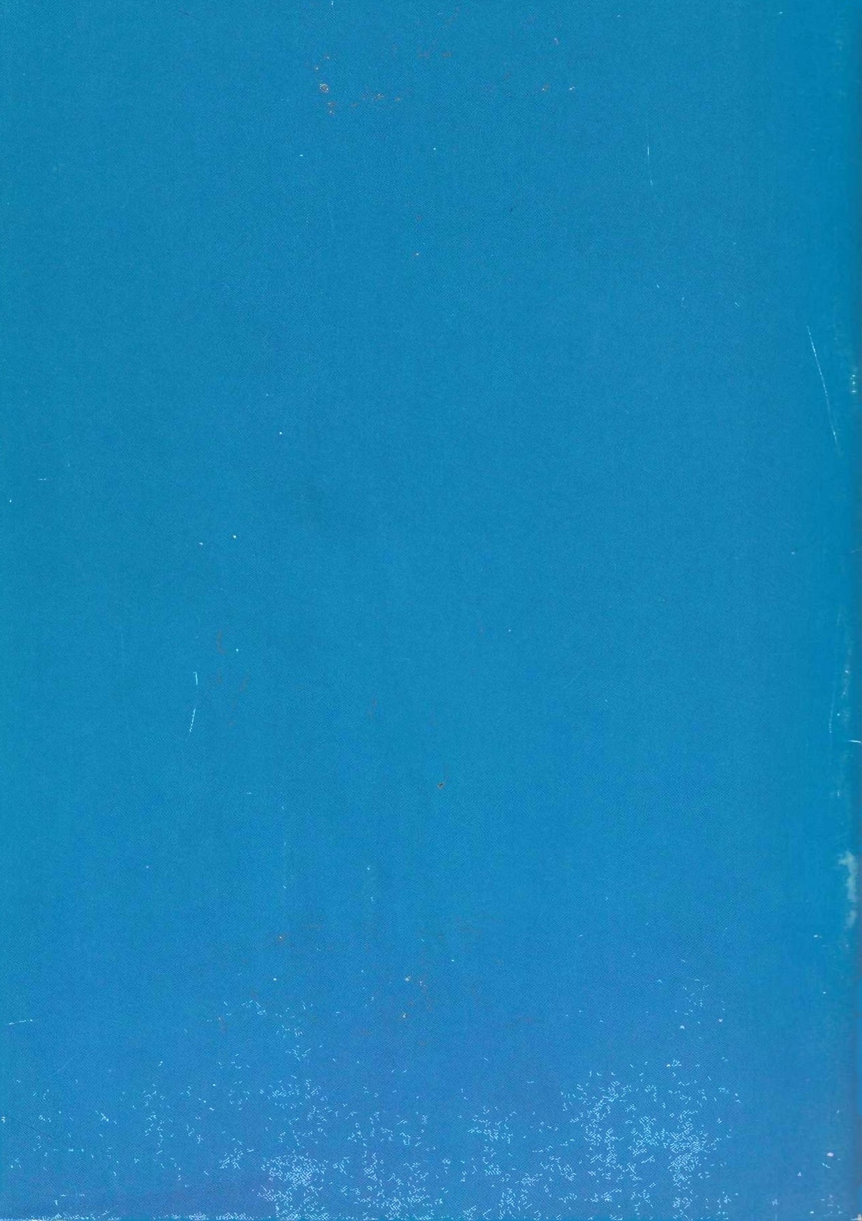 RODOX 29 (Spanish edition)